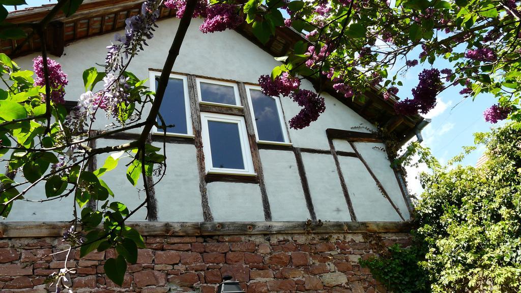 Grange Des Arts Villa Saint-Nabor Exteriör bild